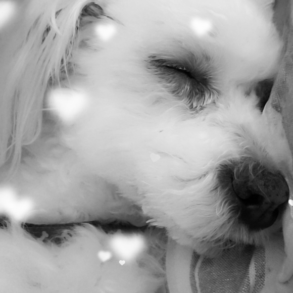 Meet your Posher, Crystal - Picture 3 of 3